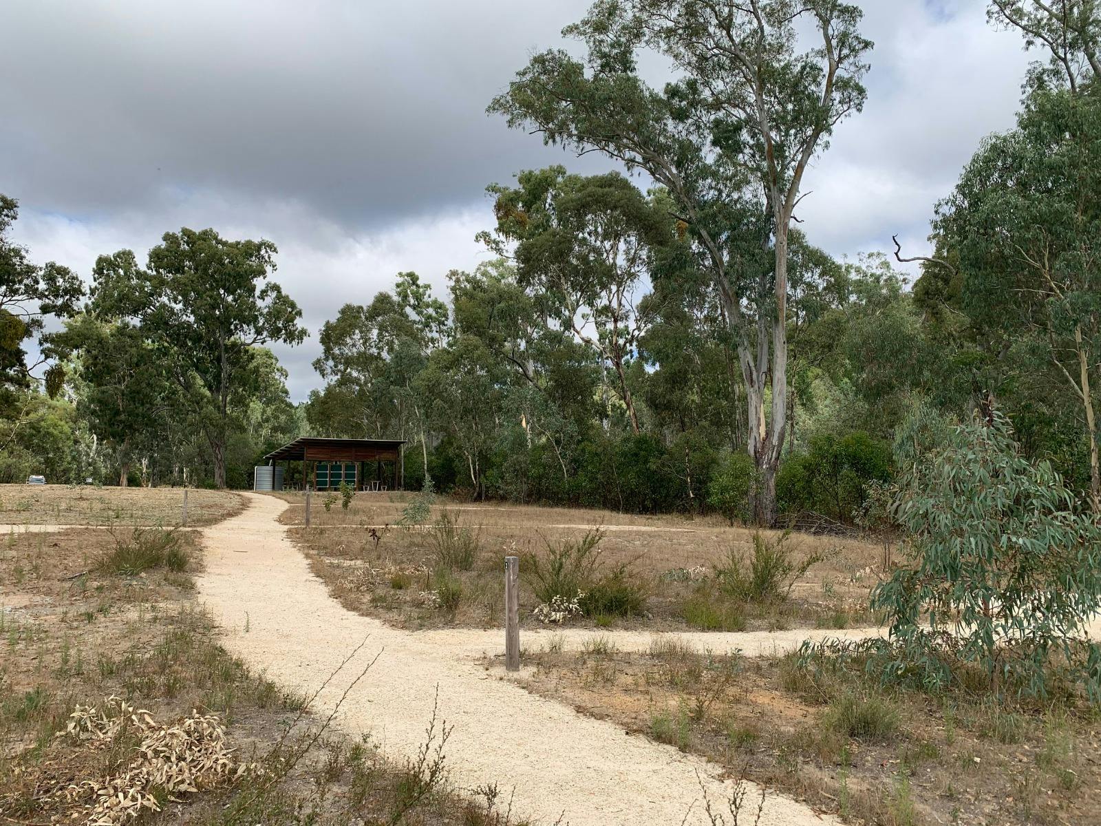 Karrawirra-tya-illa Campground