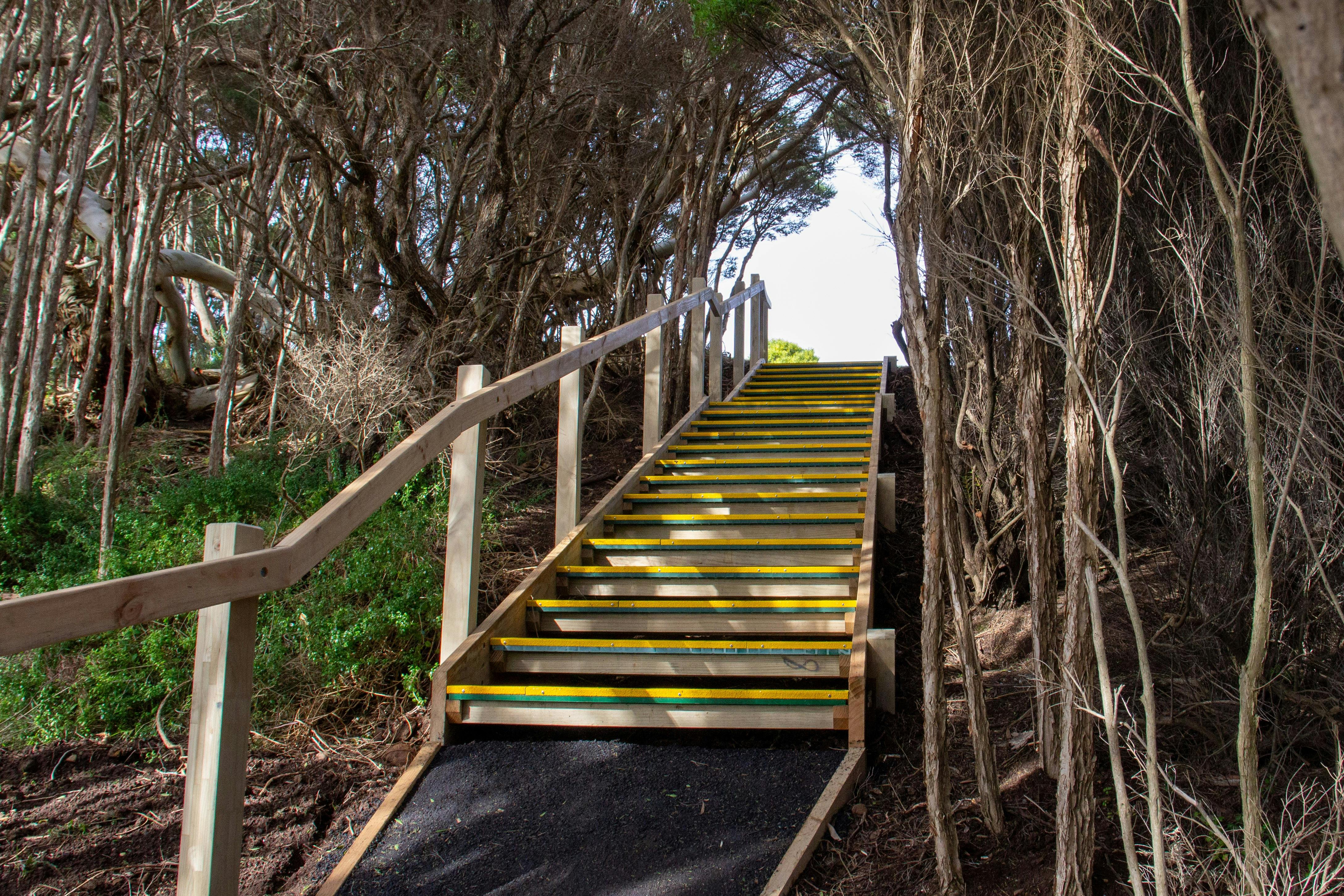 Fossil Bluff, Wynyard