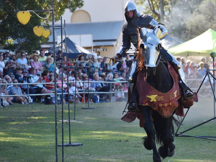 Berry Celtic Festival Knights