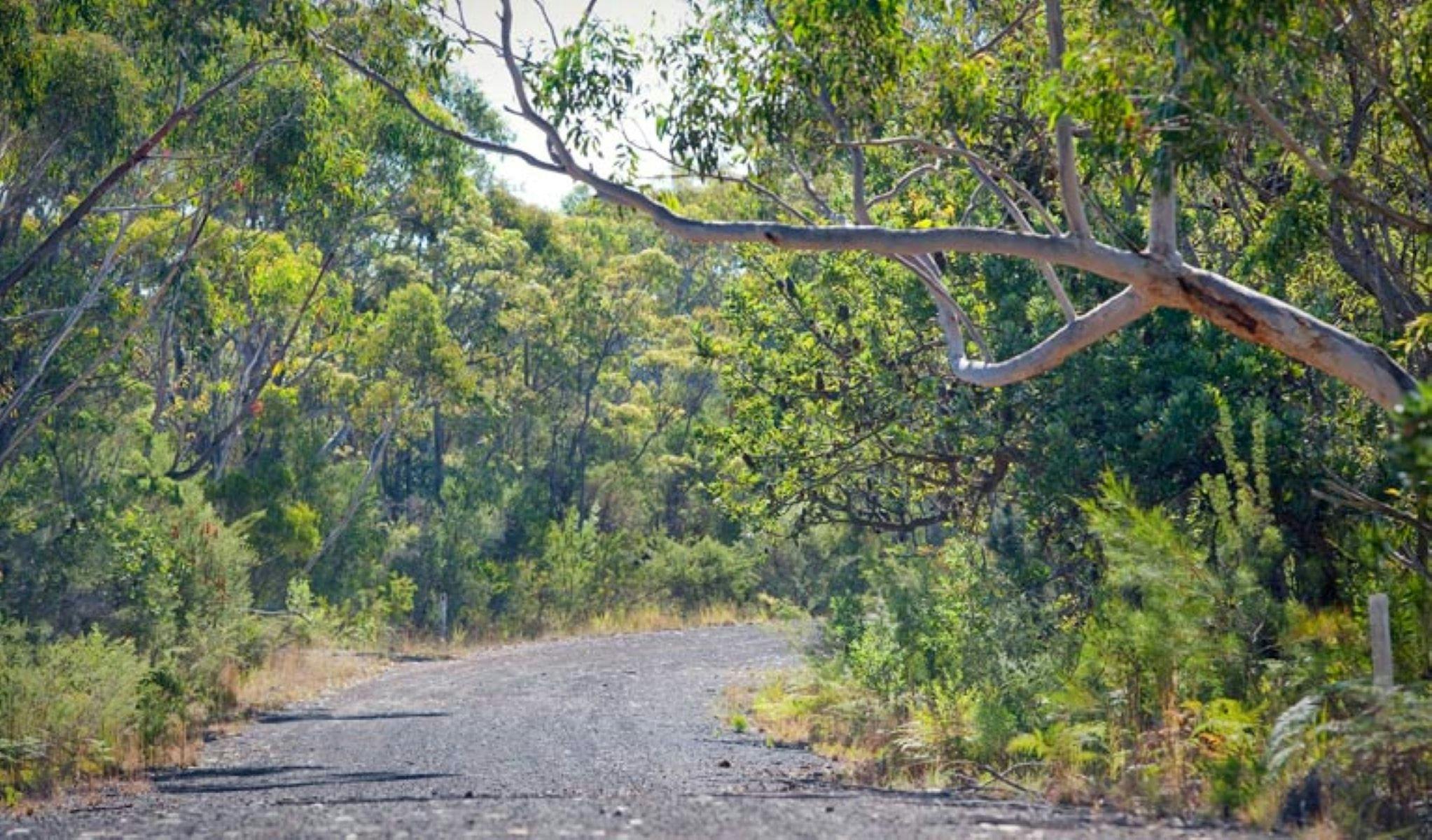10B Cycling Trail in Dharawal National Park