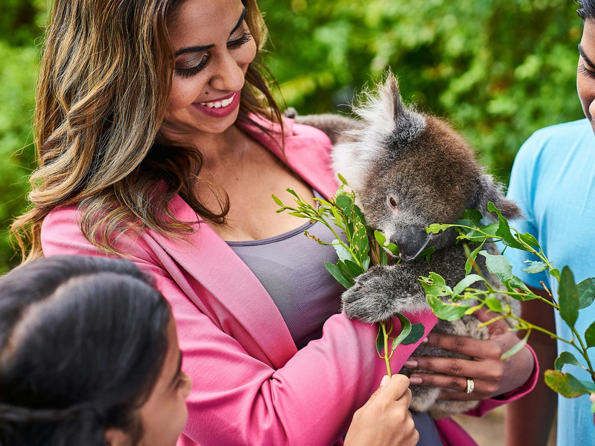 A woman holds a koala