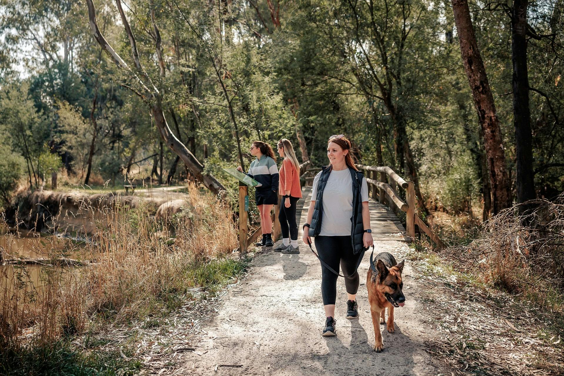 people walking in bushlands