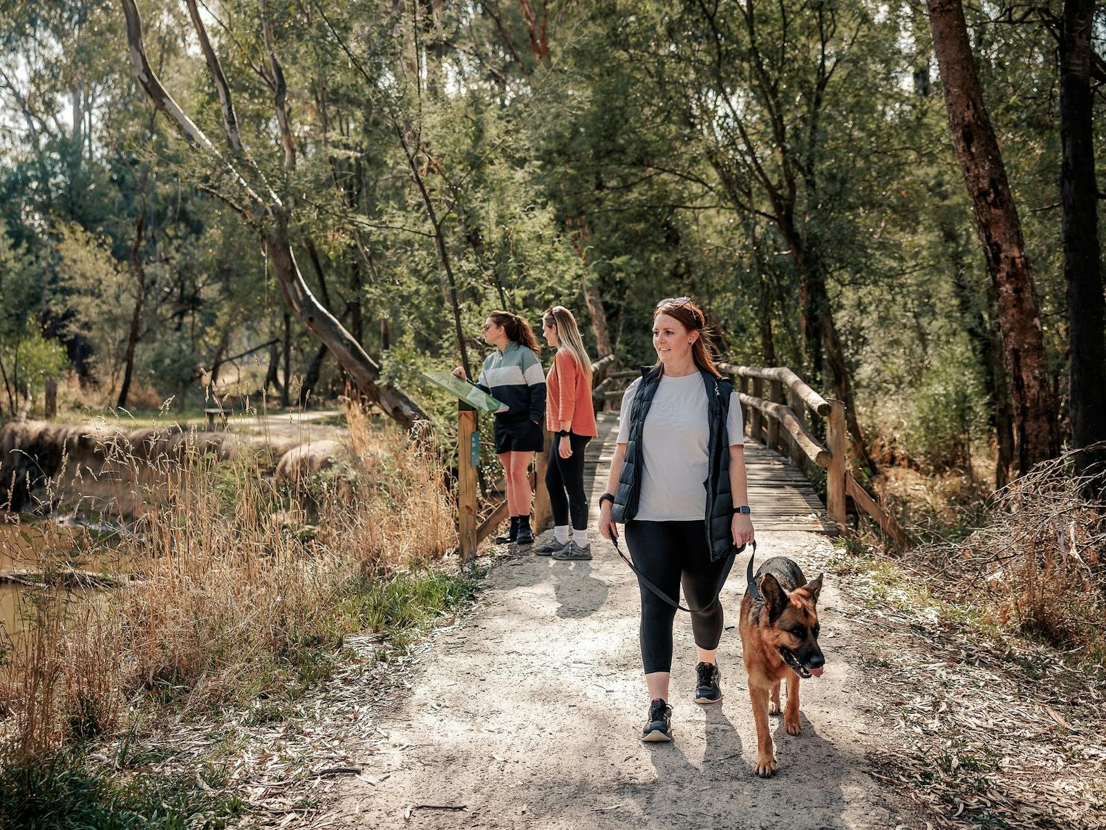 people walking in bushlands