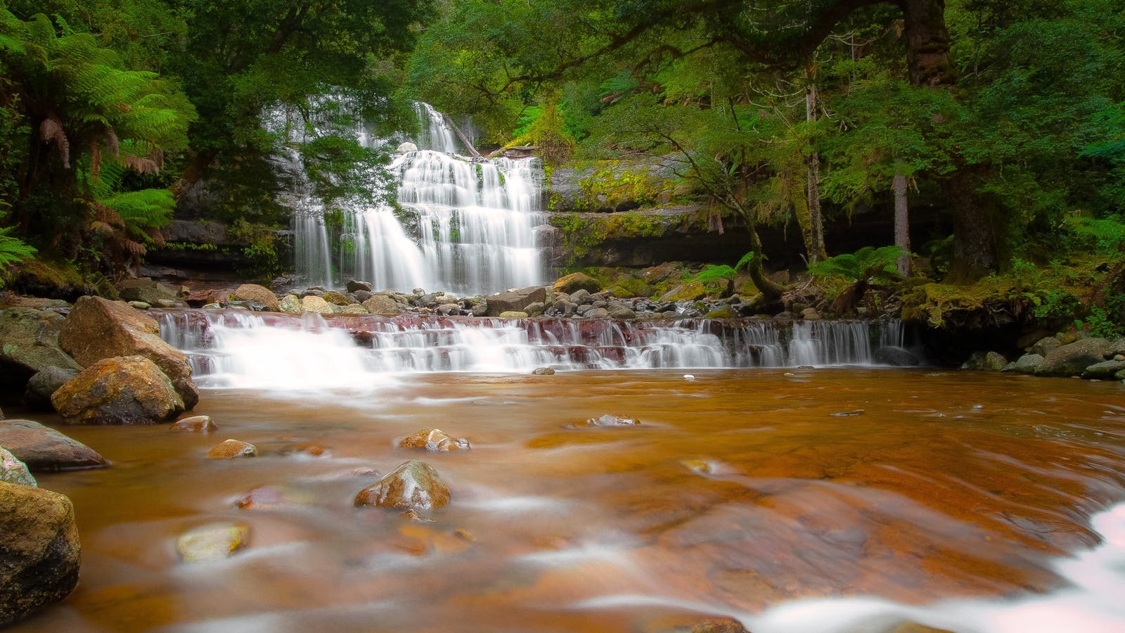 Liffey Falls Walk - Great Short Walk