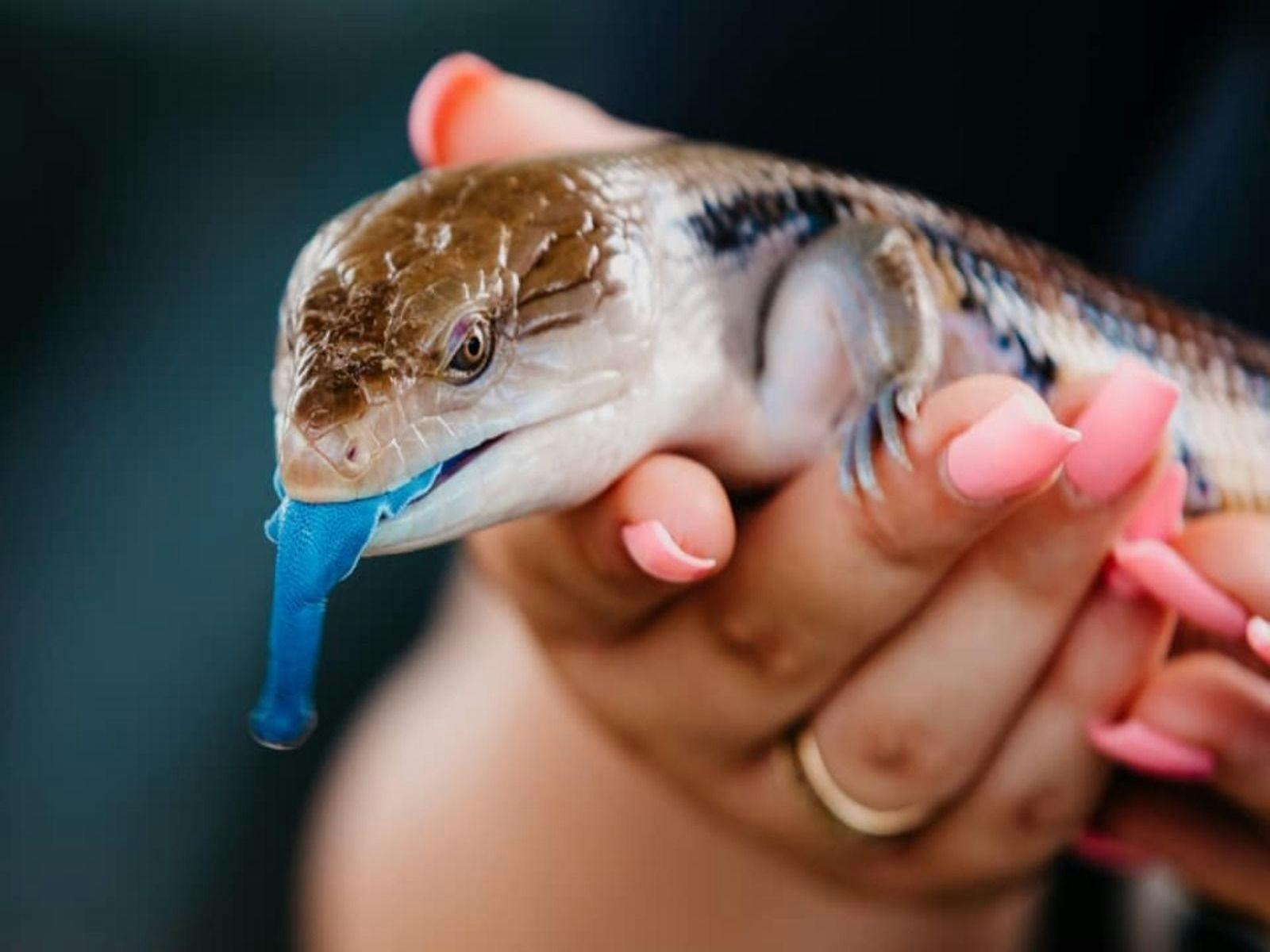 All creatures big & small