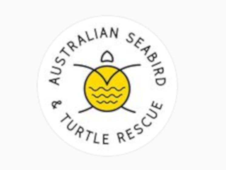 Logo of Turtle with yellow shell