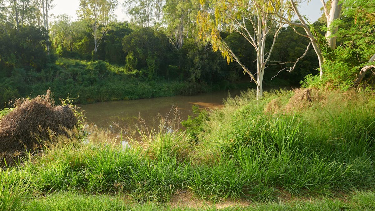 Mihi Junction Reserve