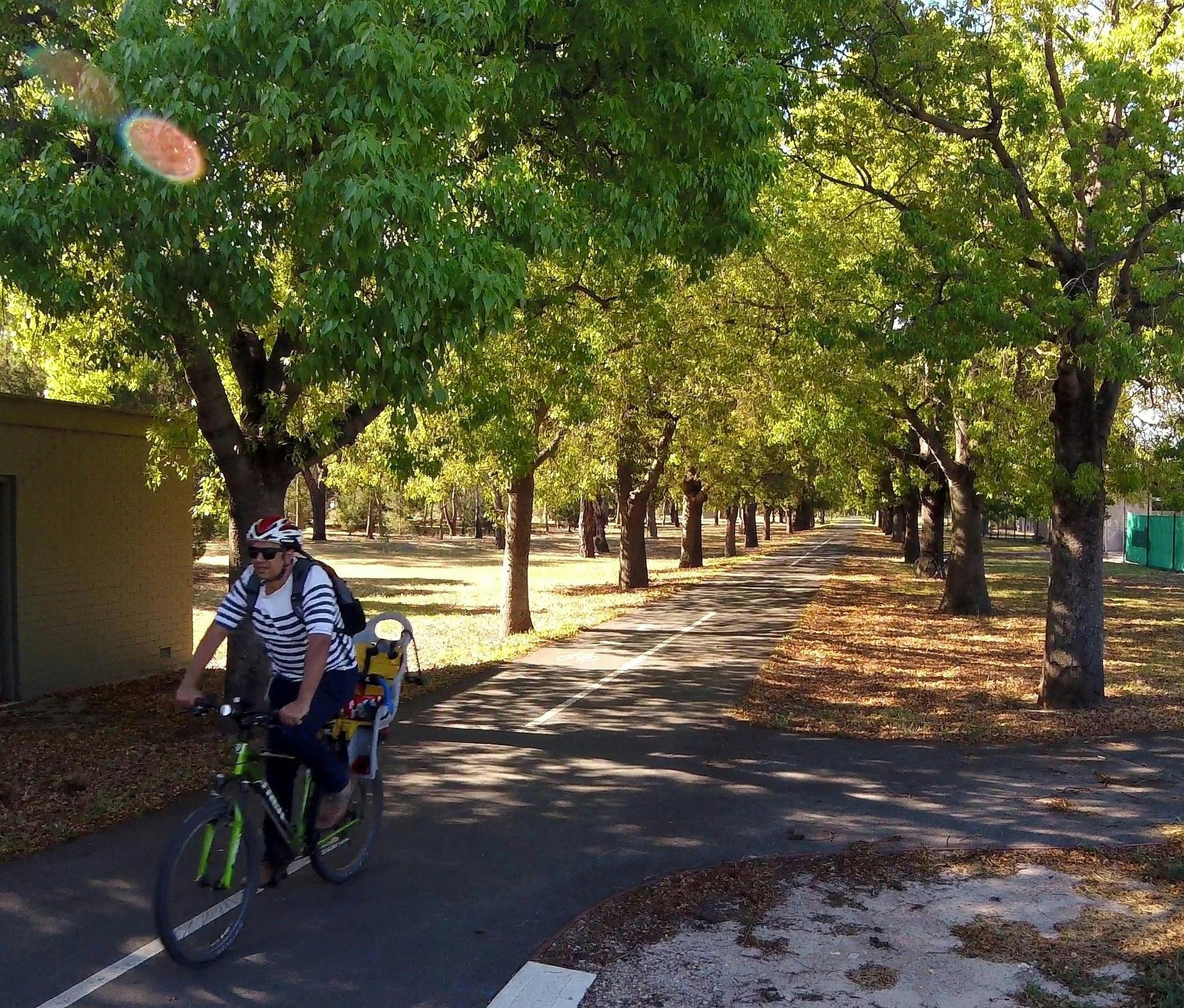 Guided Walk through Blue Gum Park / Kurangga (Park 20)