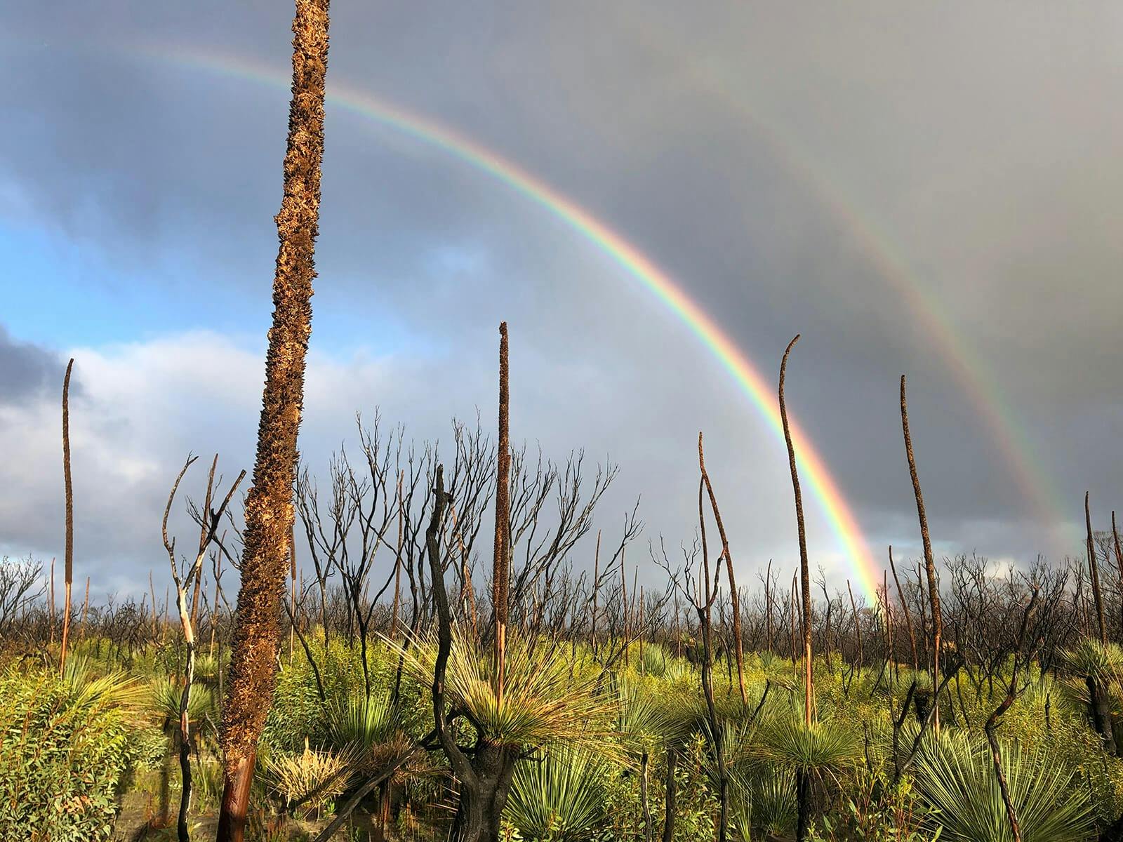 Women’s-Kangaroo-Island-Wilderness-Trail-(KIWT)-double-rainbow