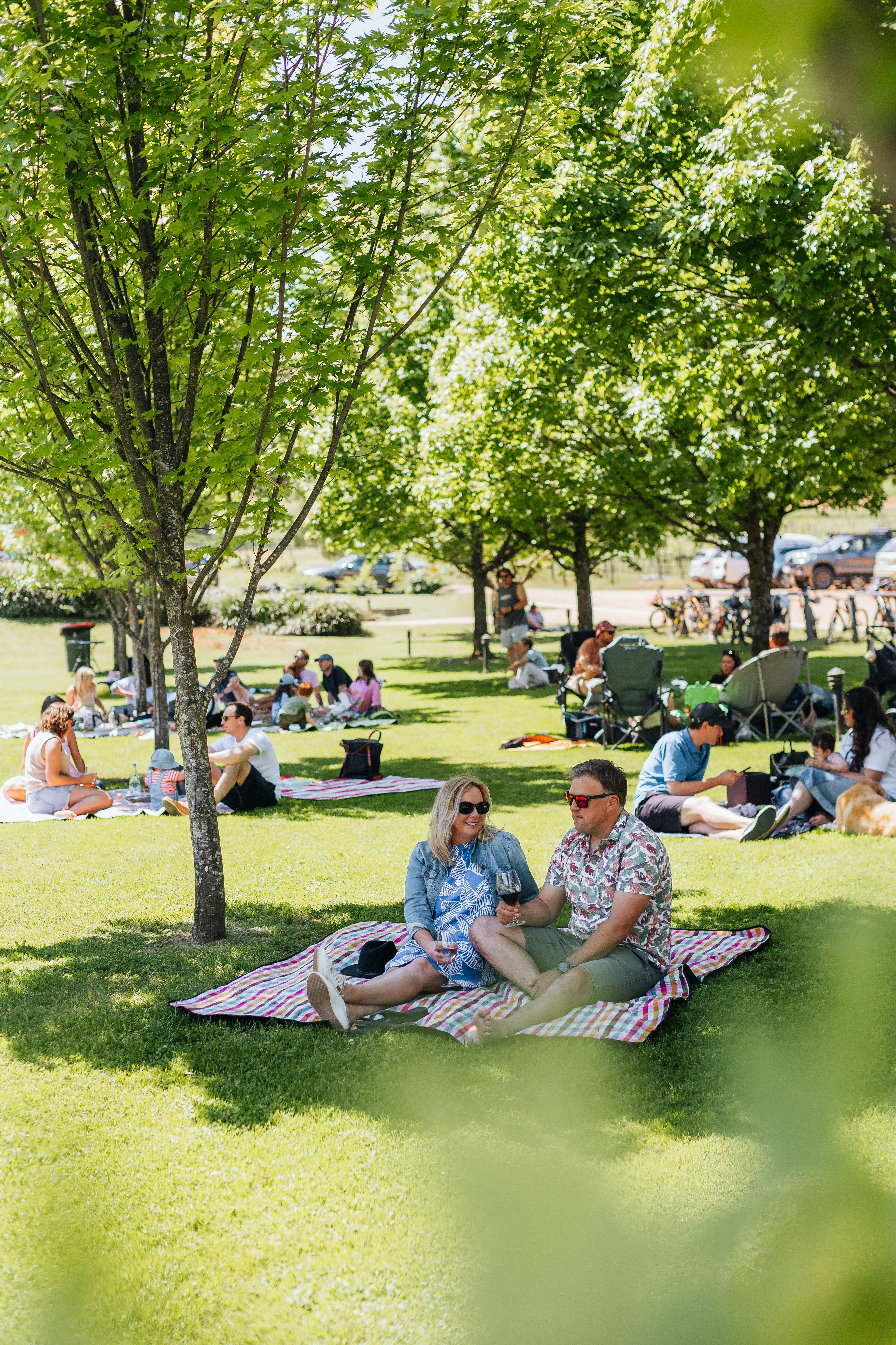 people picnicking at Ringer Reef Winery
