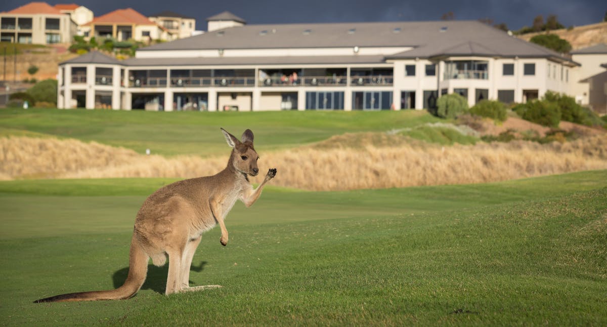 Yankalilla | Visit Fleurieu Coast - Lady Bay Resort