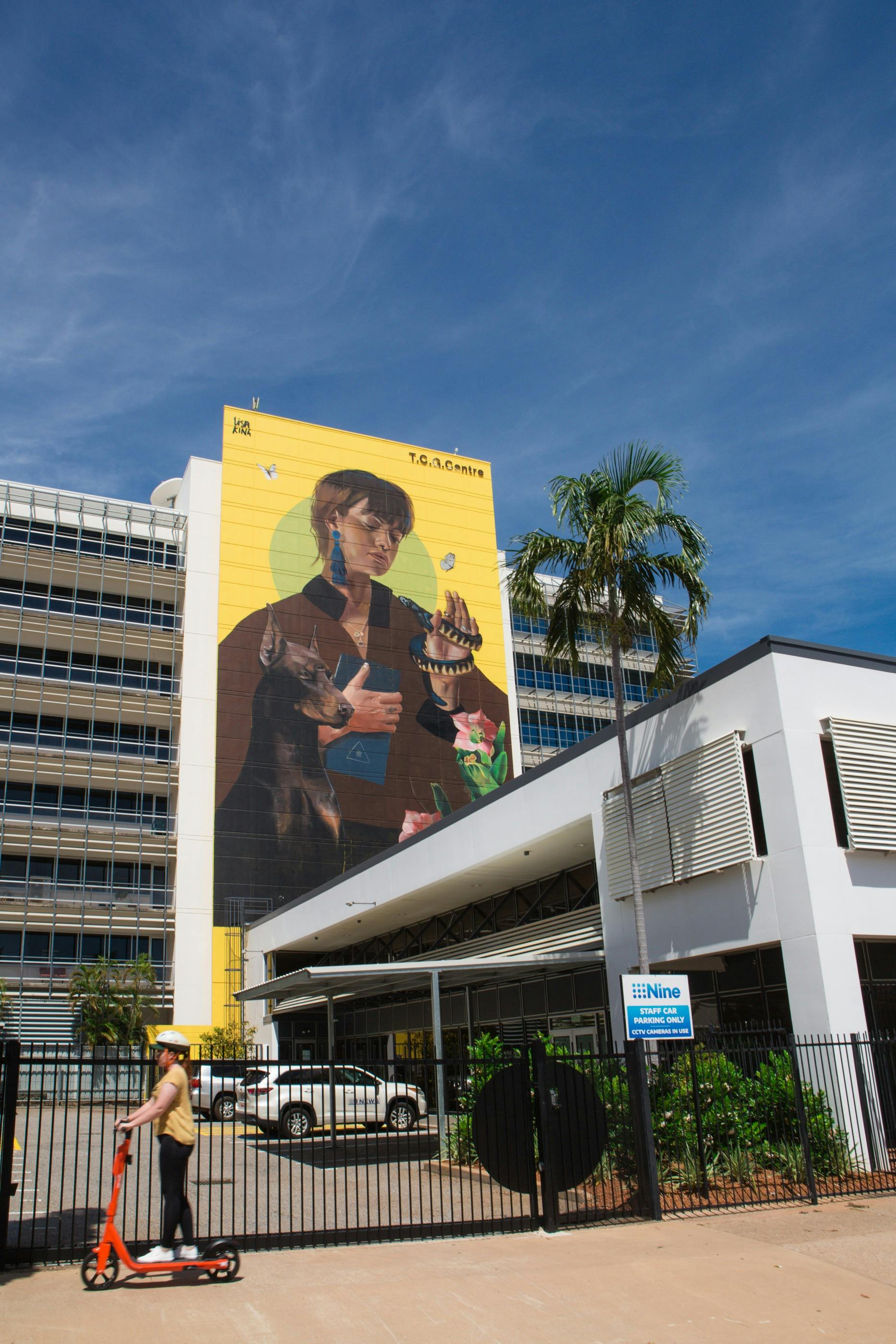 Darwin Street Art Festival