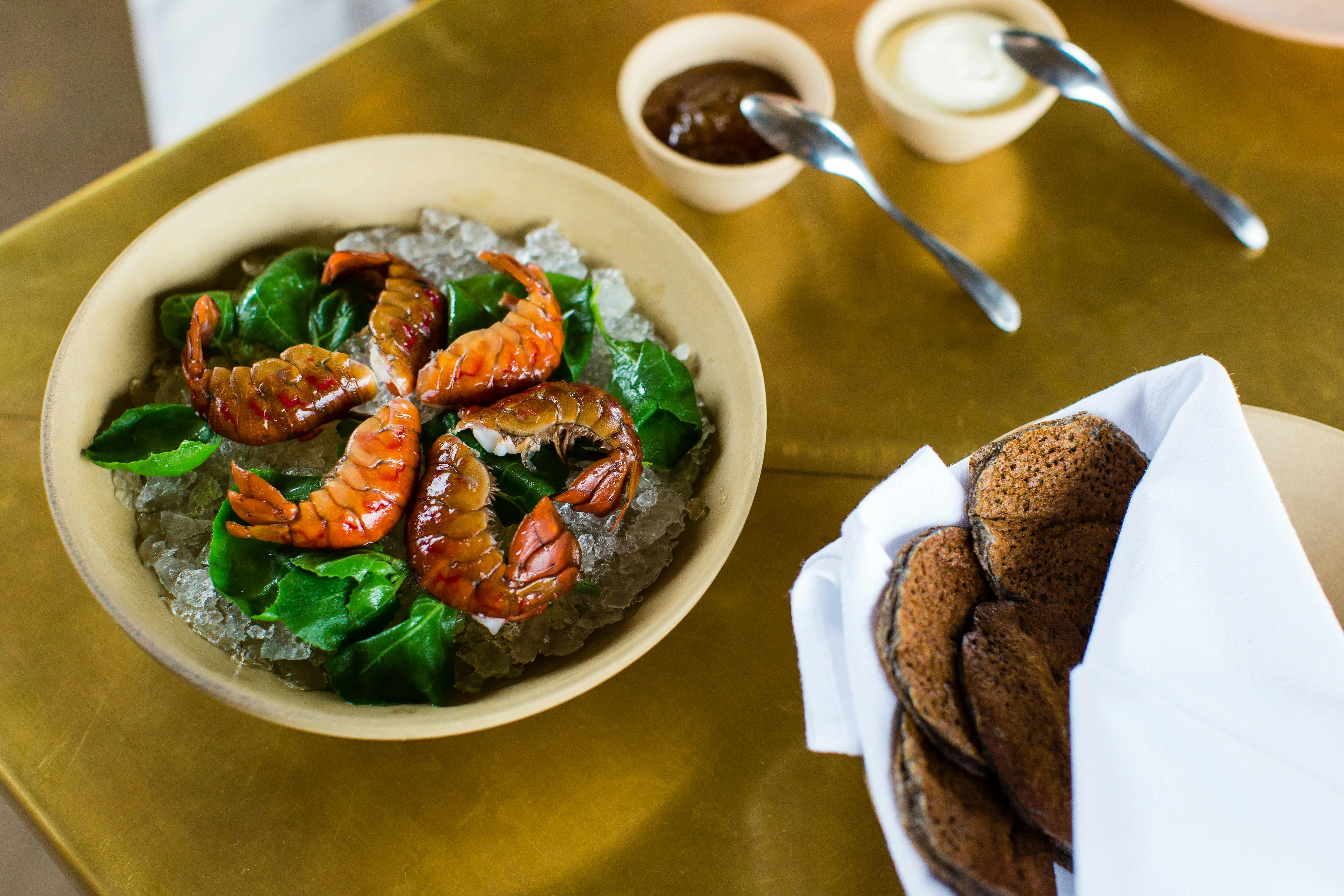 붉은발톱야비 배양크림 레몬잼