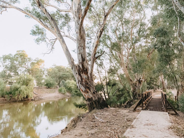 Wiradjuri Walking Track in Wagga Wagga