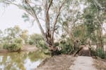 Wiradjuri Walking Track in Wagga Wagga