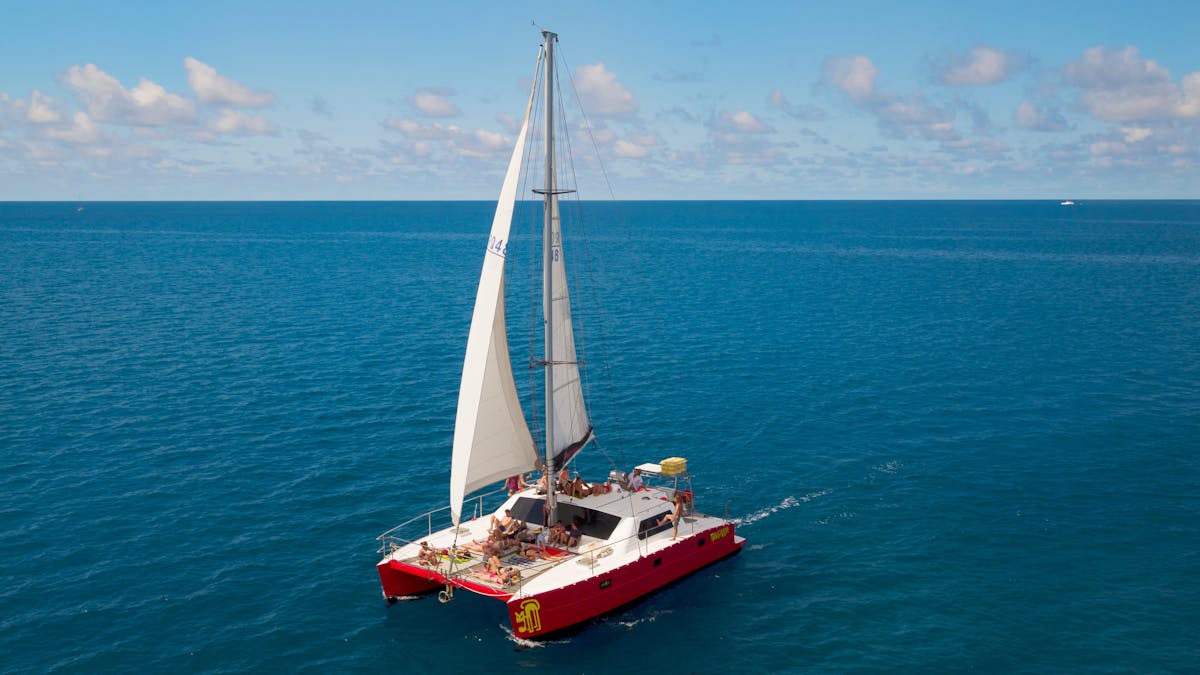Tongarra Day Sail