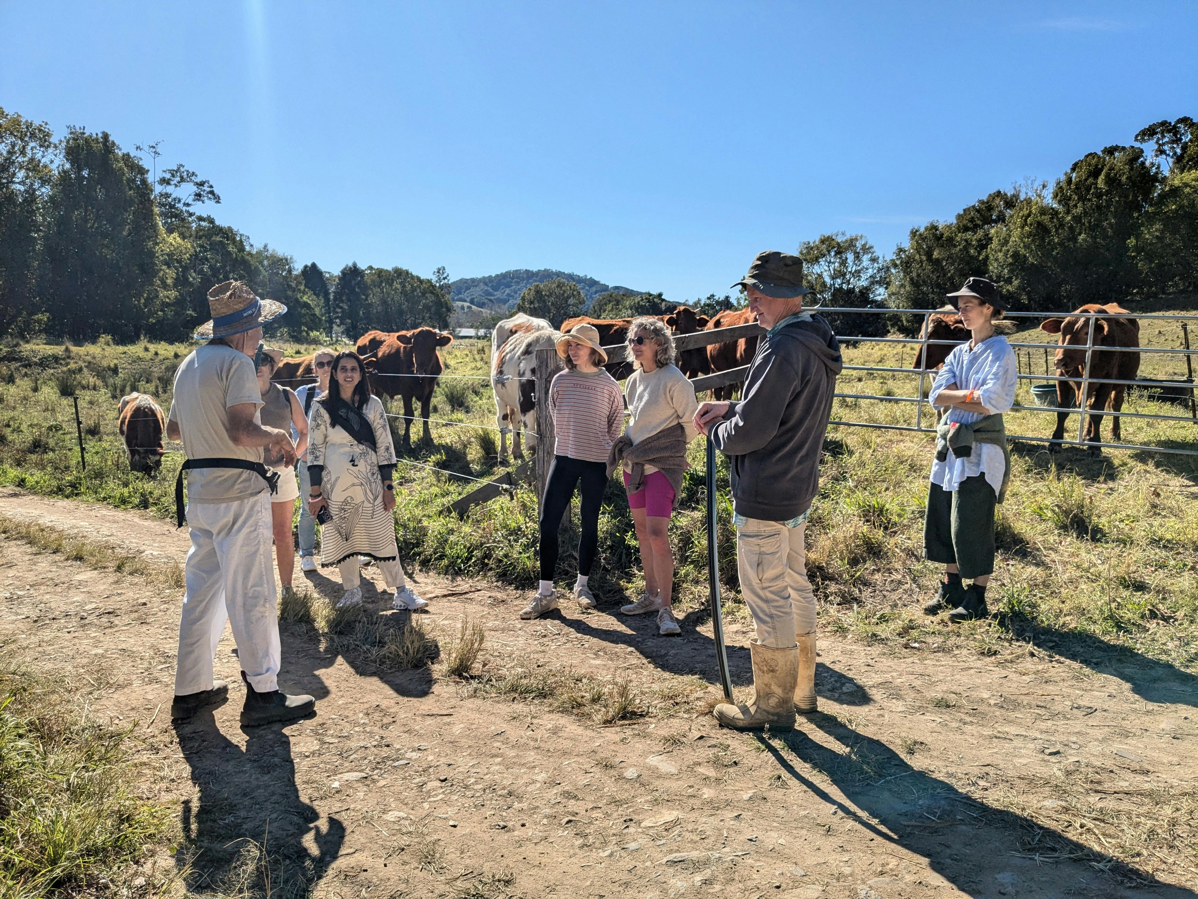 參與者正在學習富有同情心的動物護理