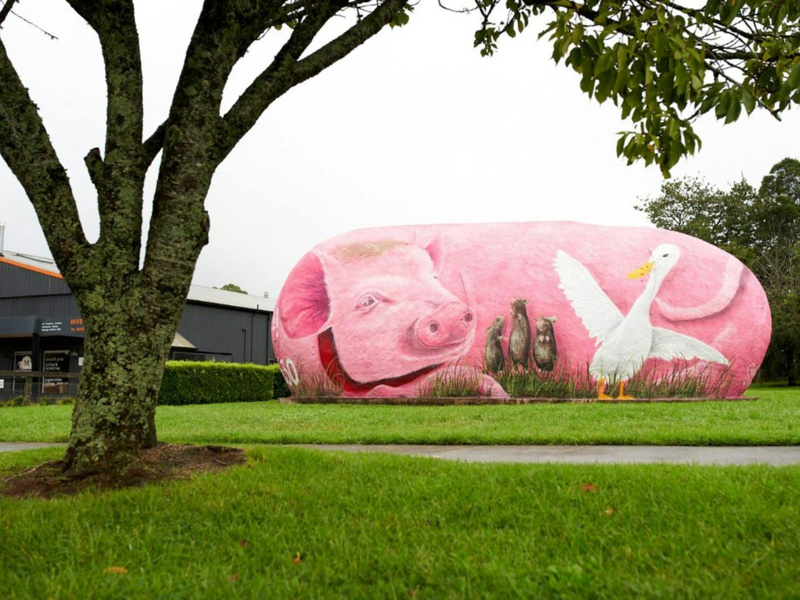 The Big Potato - BABE