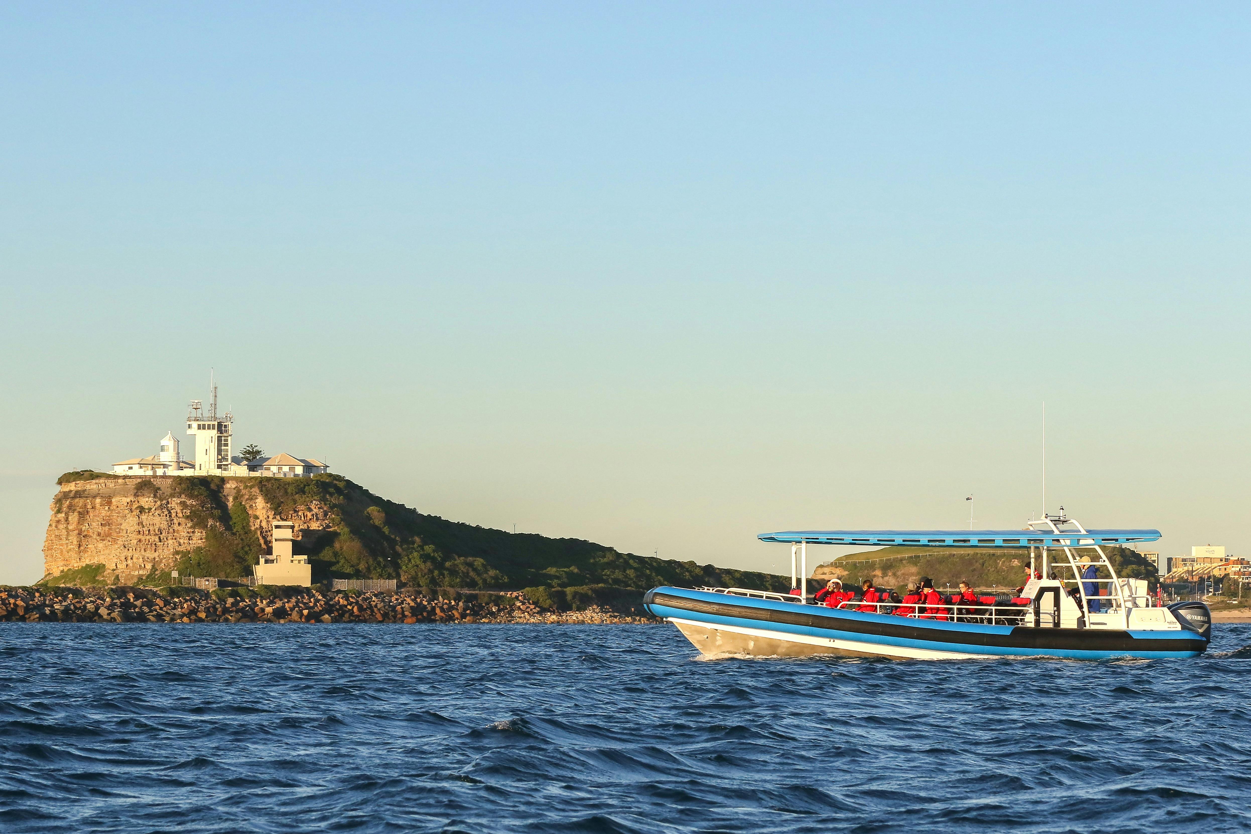 We'll introduce you to major local landmarks like Nobby's.