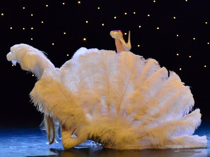 Burlesque The Art of Seduction
