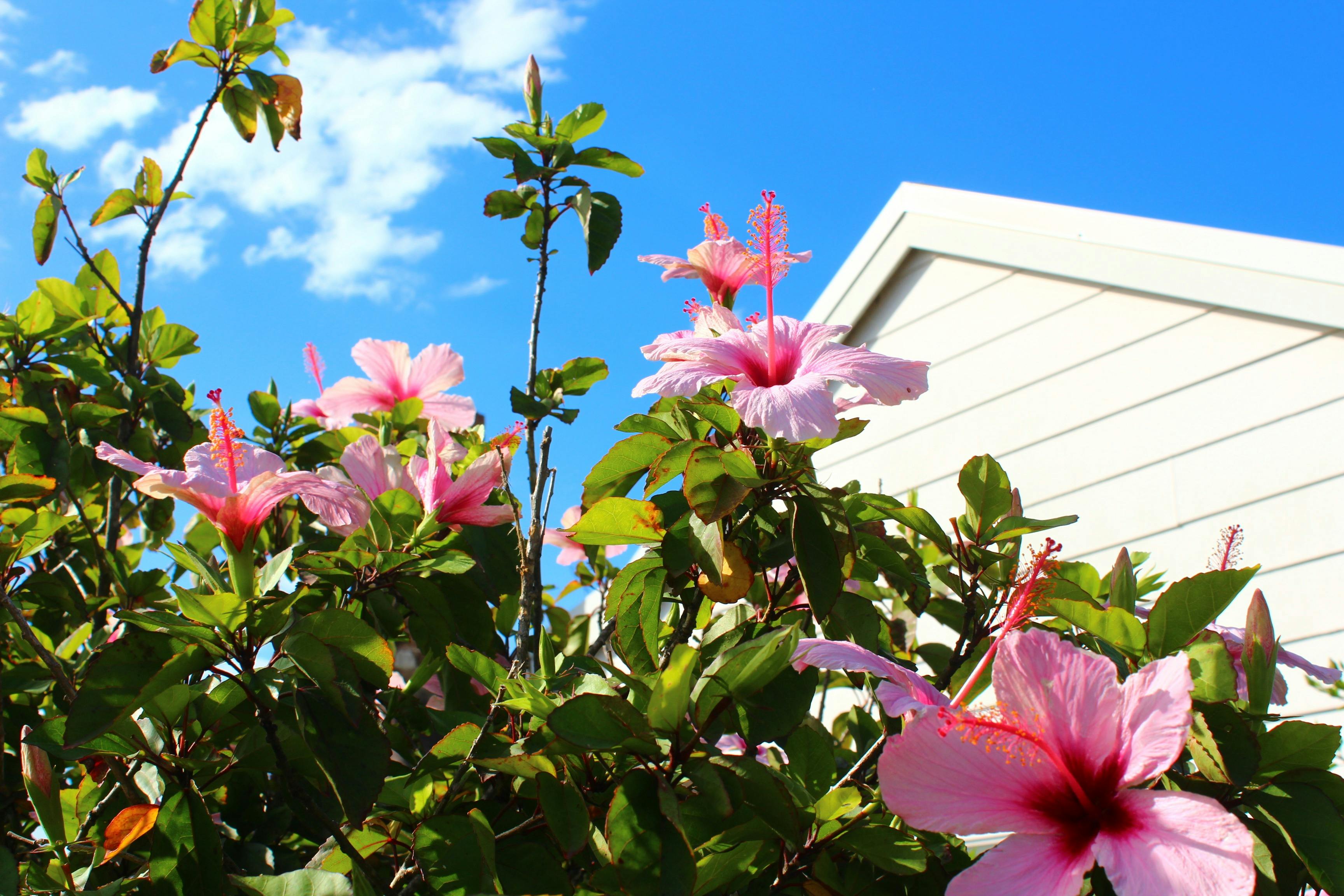 Located in a the beautiful suburb of Catherine Hill Bay