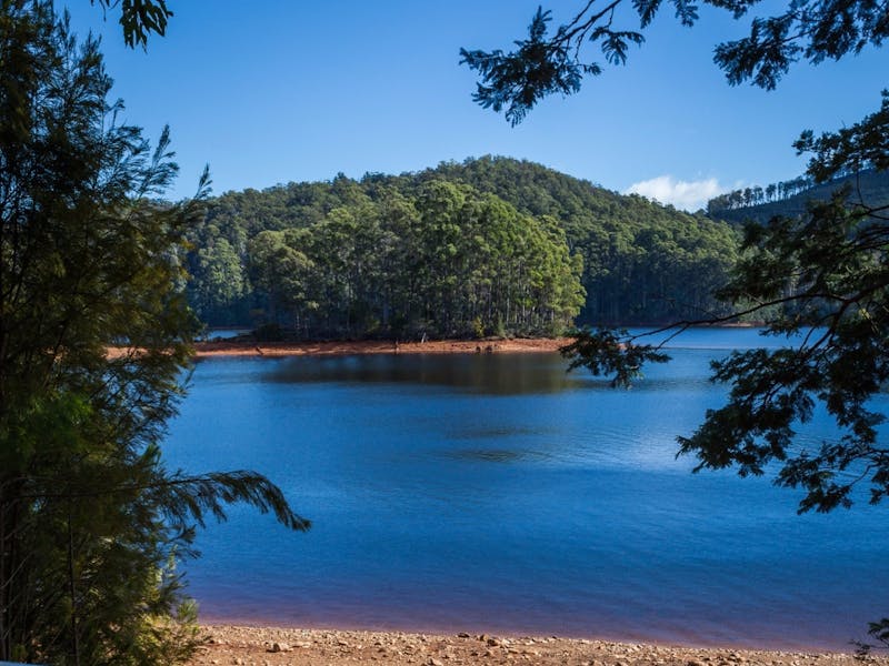 Lake Barrington Discover Tasmania