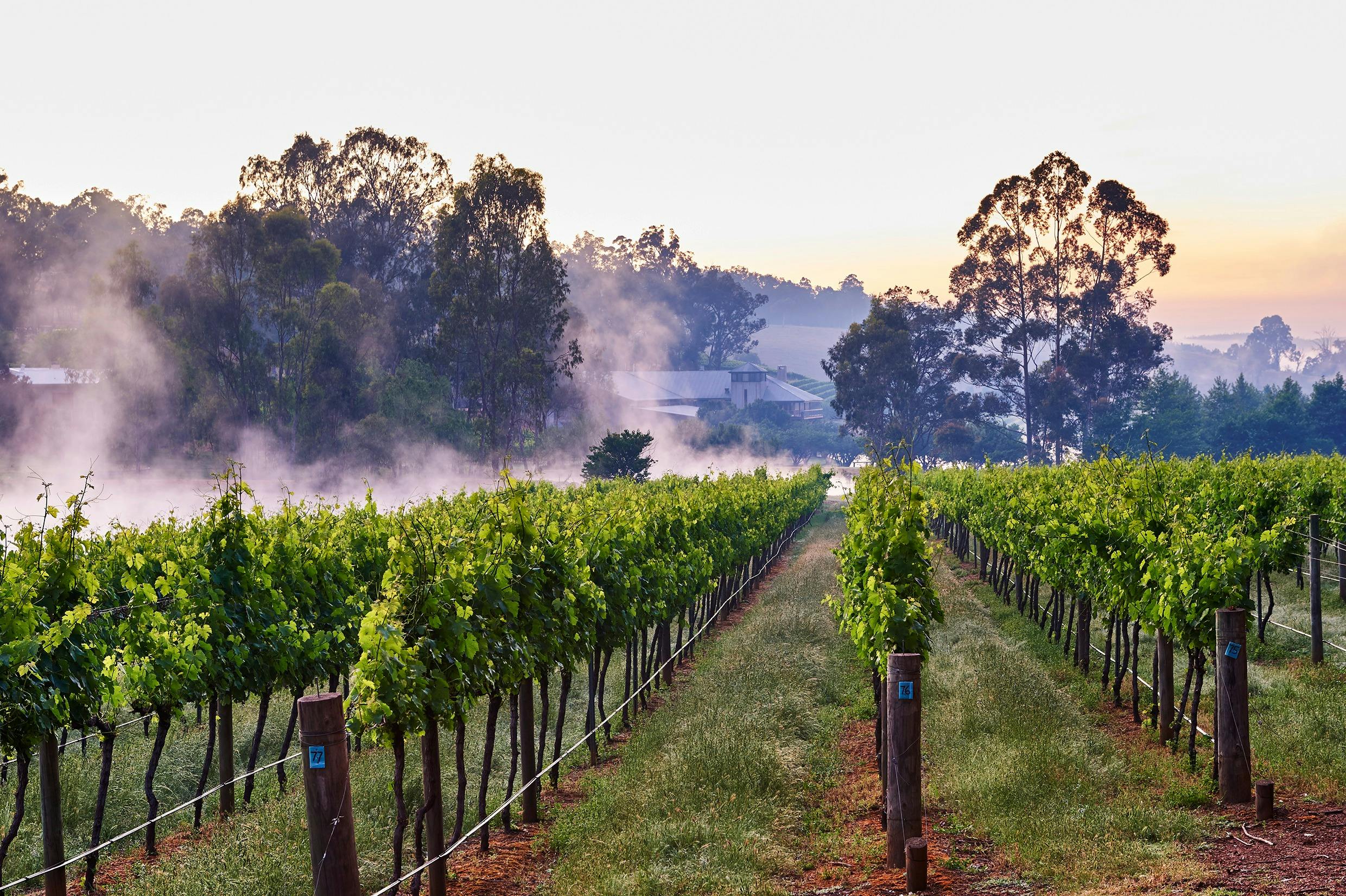 Millbrook Winery