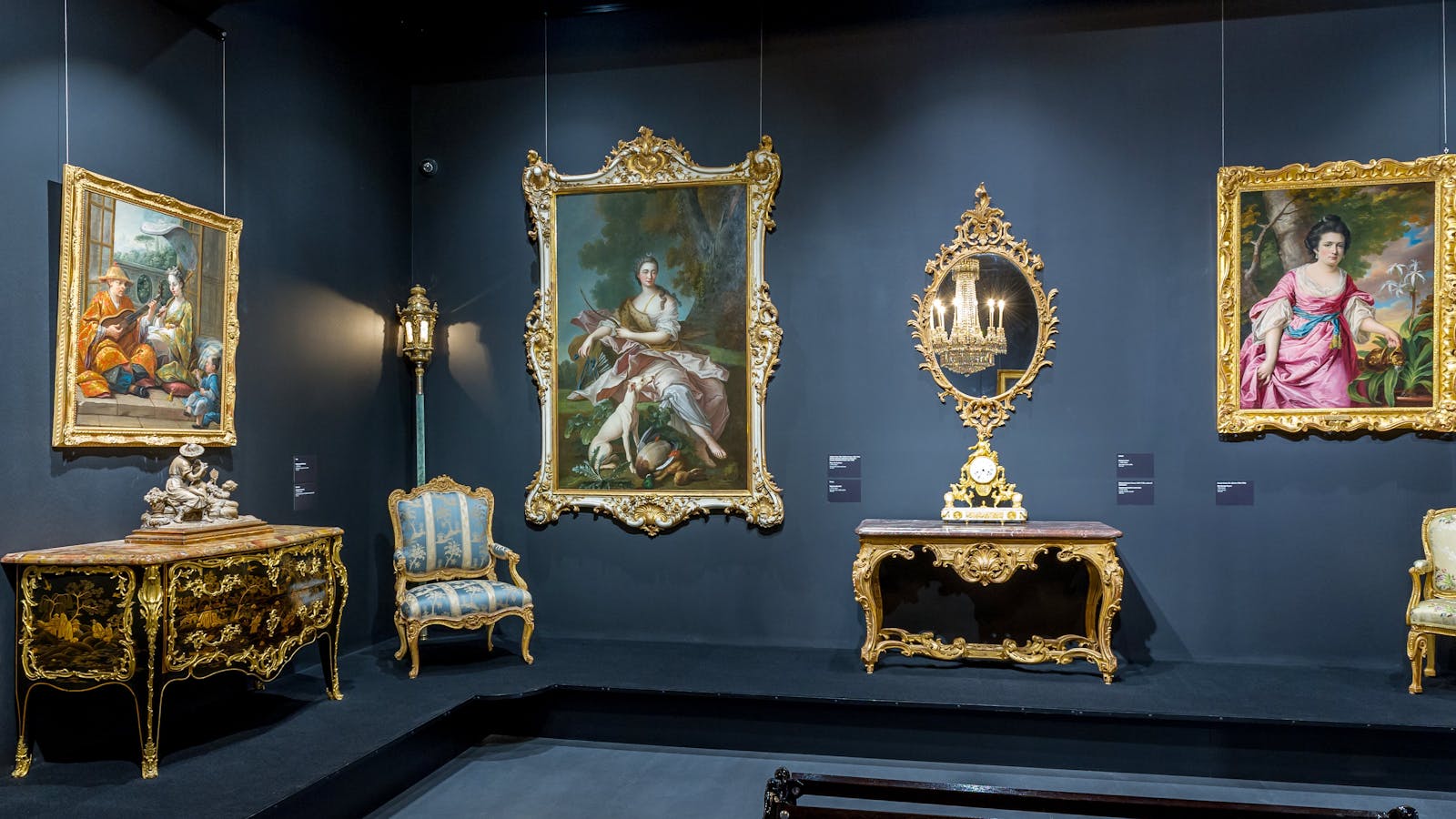 David Roche Gallery