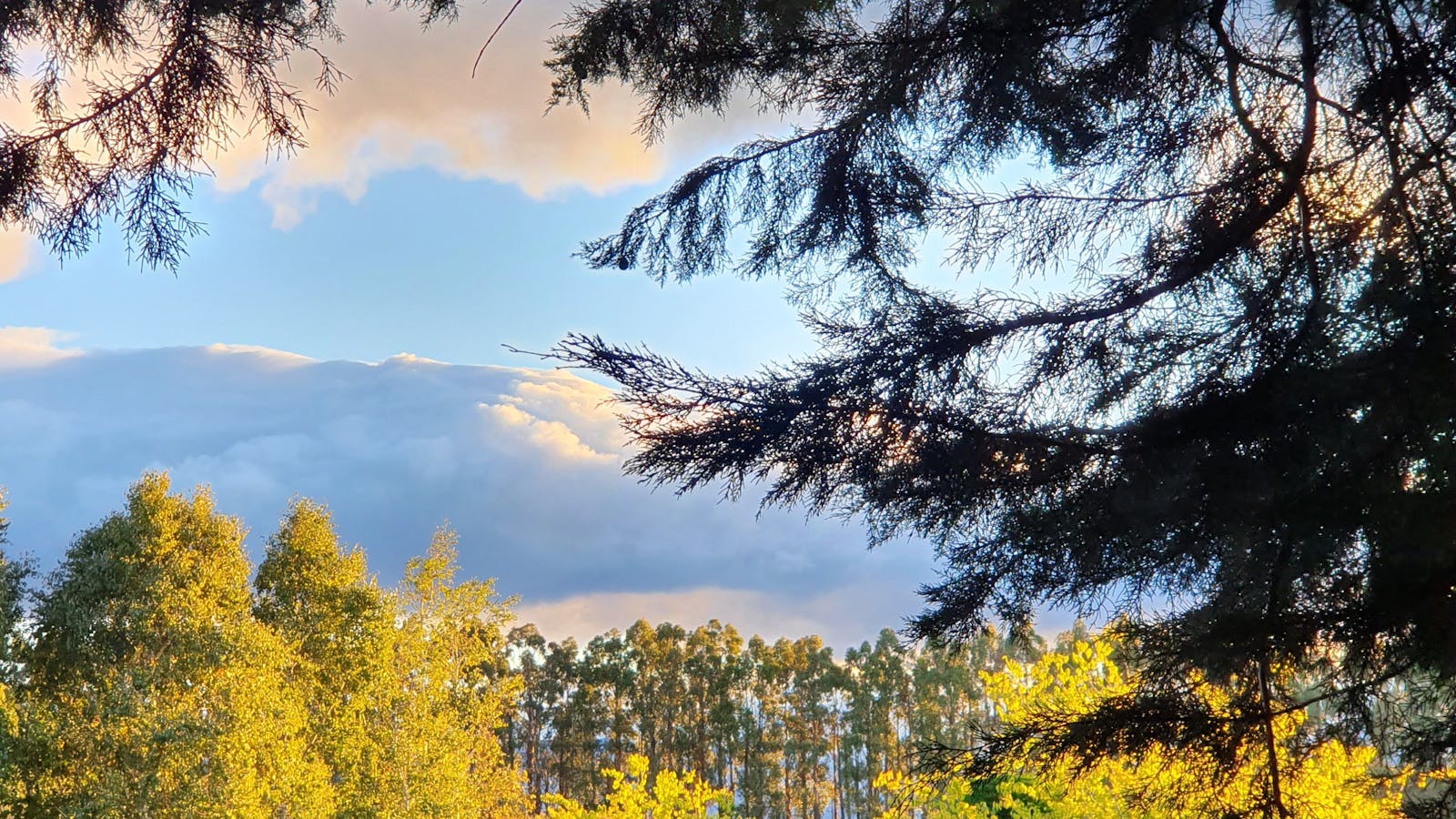 Southern Garden view Western Tiers