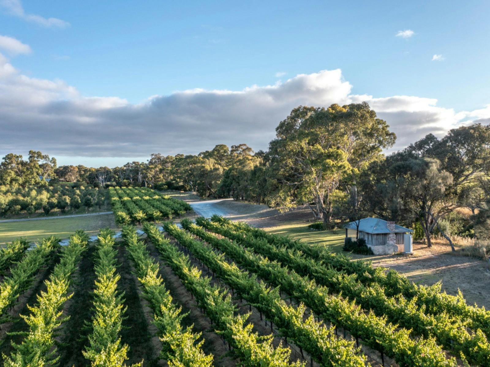 The Pickers Hut set amongst the vineyards at Shottesbrooke