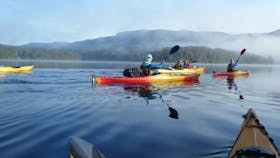Kangaroo Valley Safaris camping and kayaking