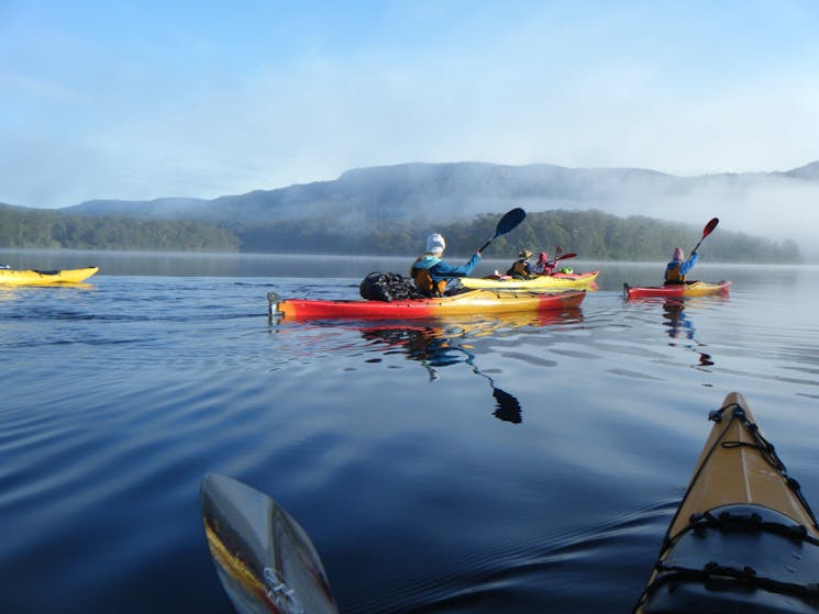 Kangaroo Valley Safaris camping and kayaking