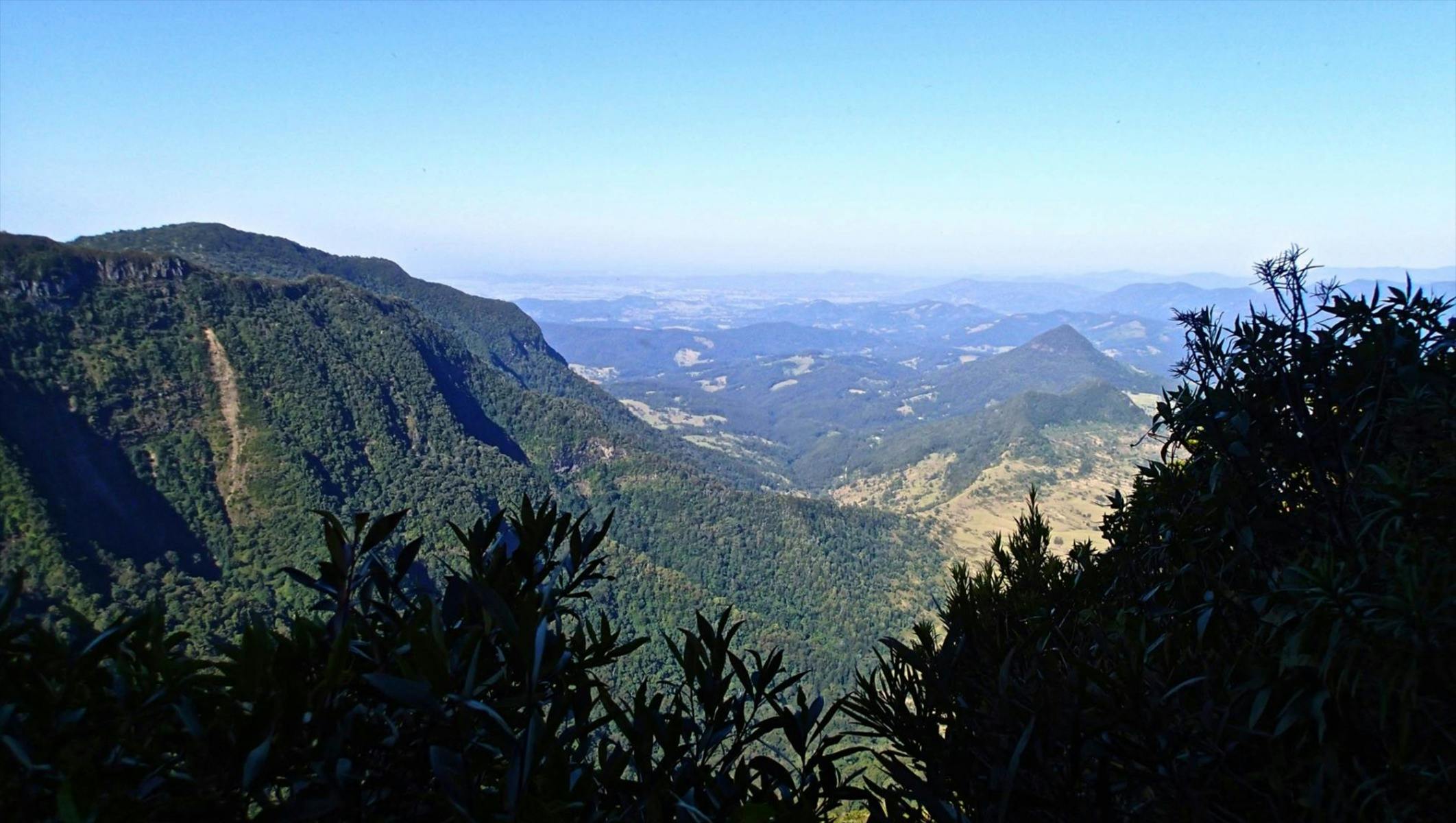 Gold Coast Hinterland Highlights 10