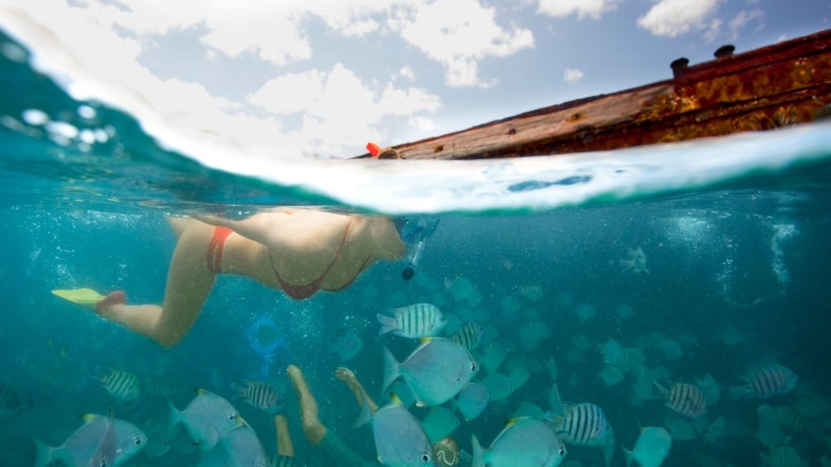 Underwater Snorkel