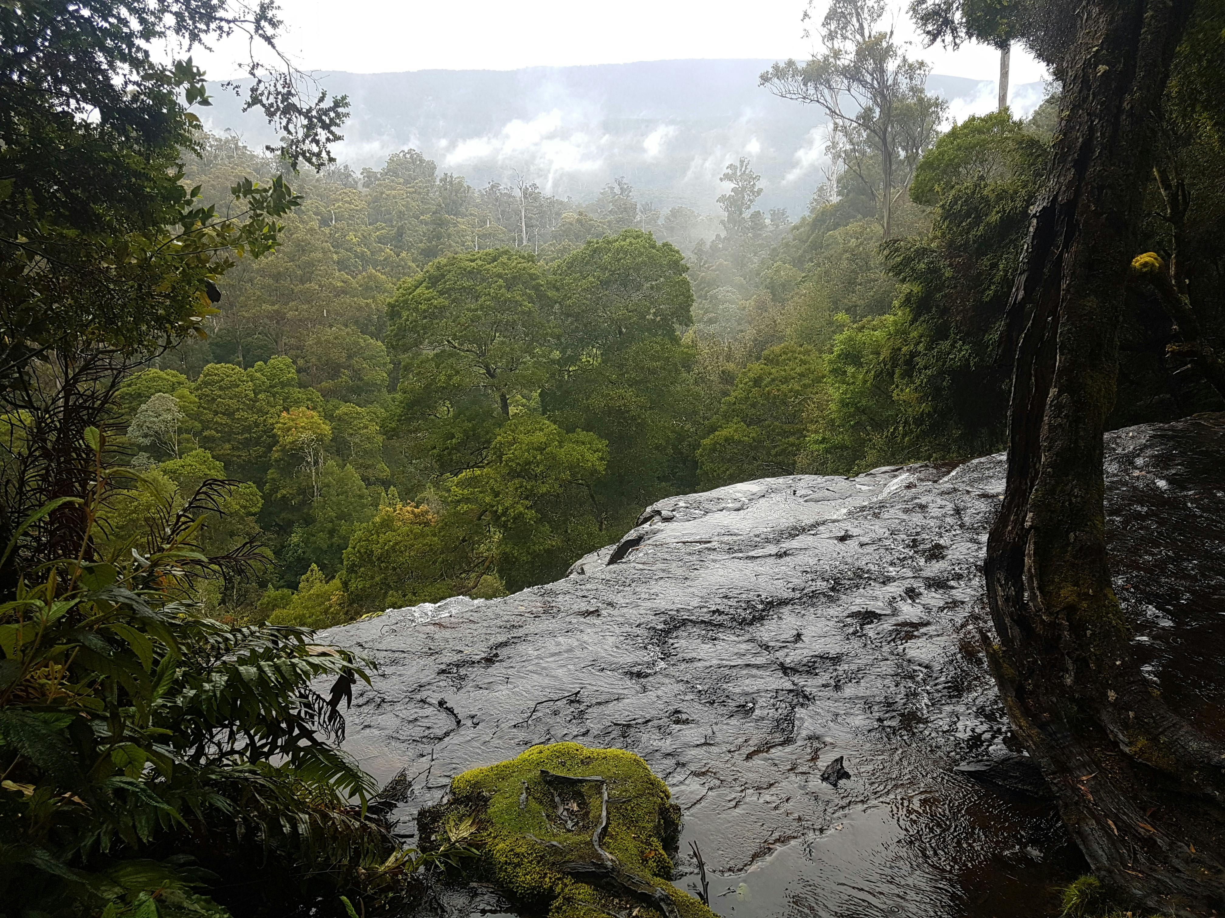 Group-Tours-Tasmania