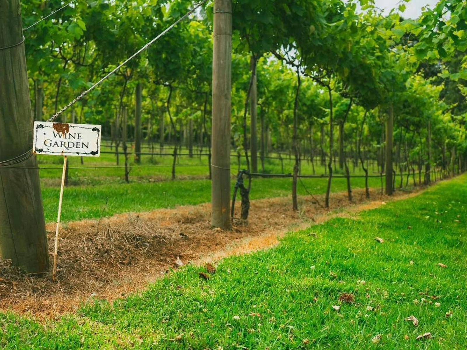 Mount Tamborine Vines, Views & Glow Worms