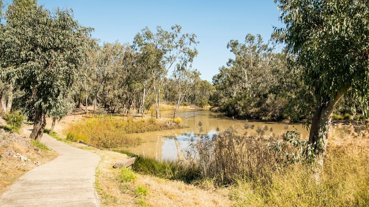 Charleys Creek Walk Chinchilla Condamine River