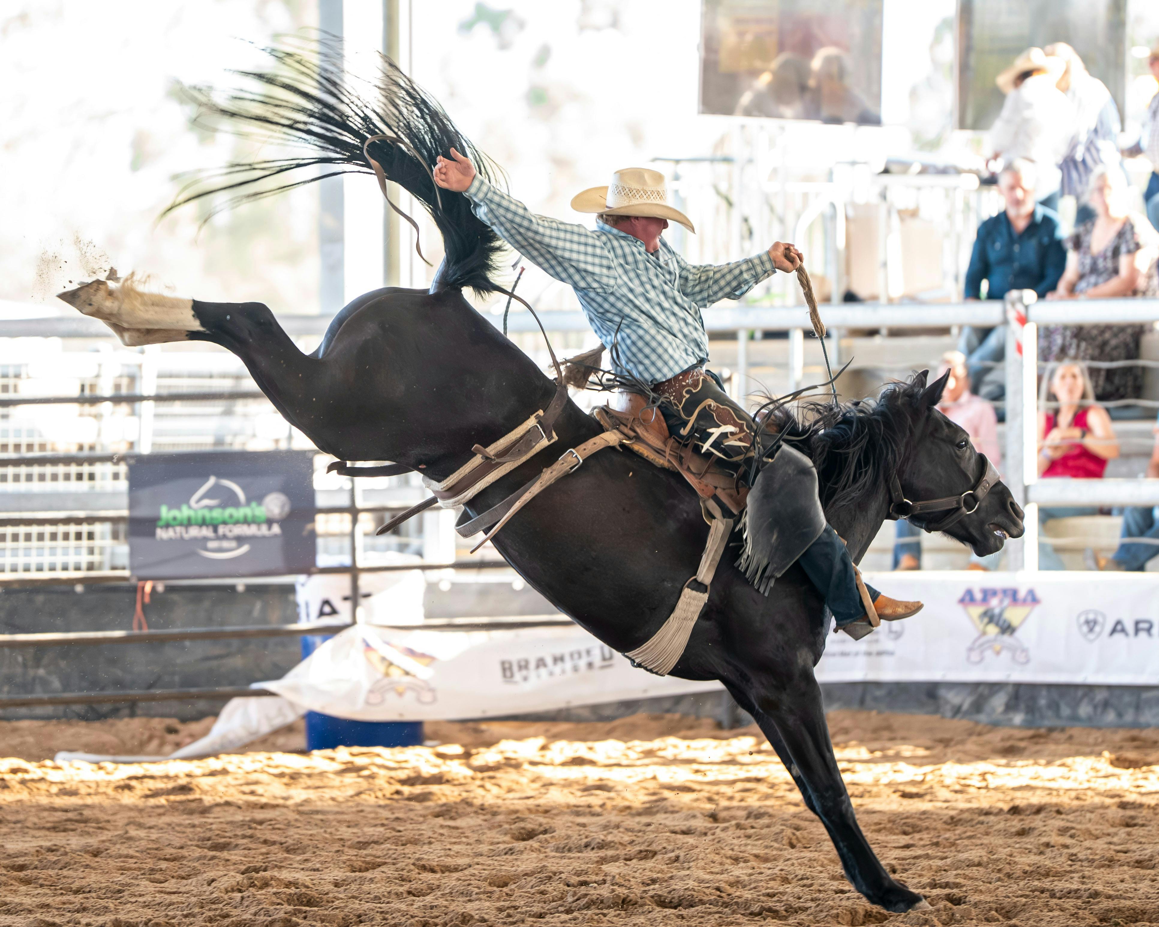 Rodeo Saddle Bronc