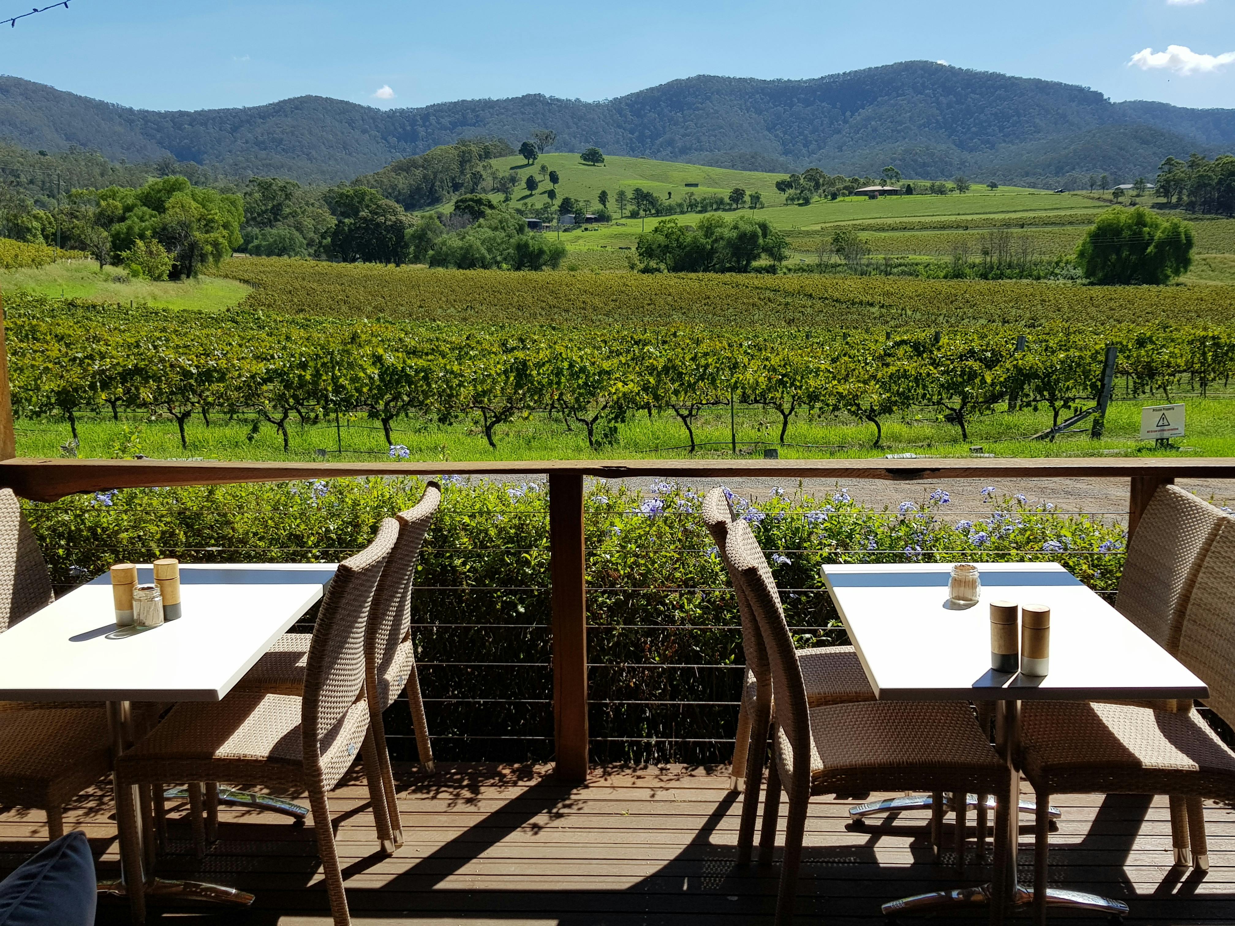 Delicious Organic Food with a view!!