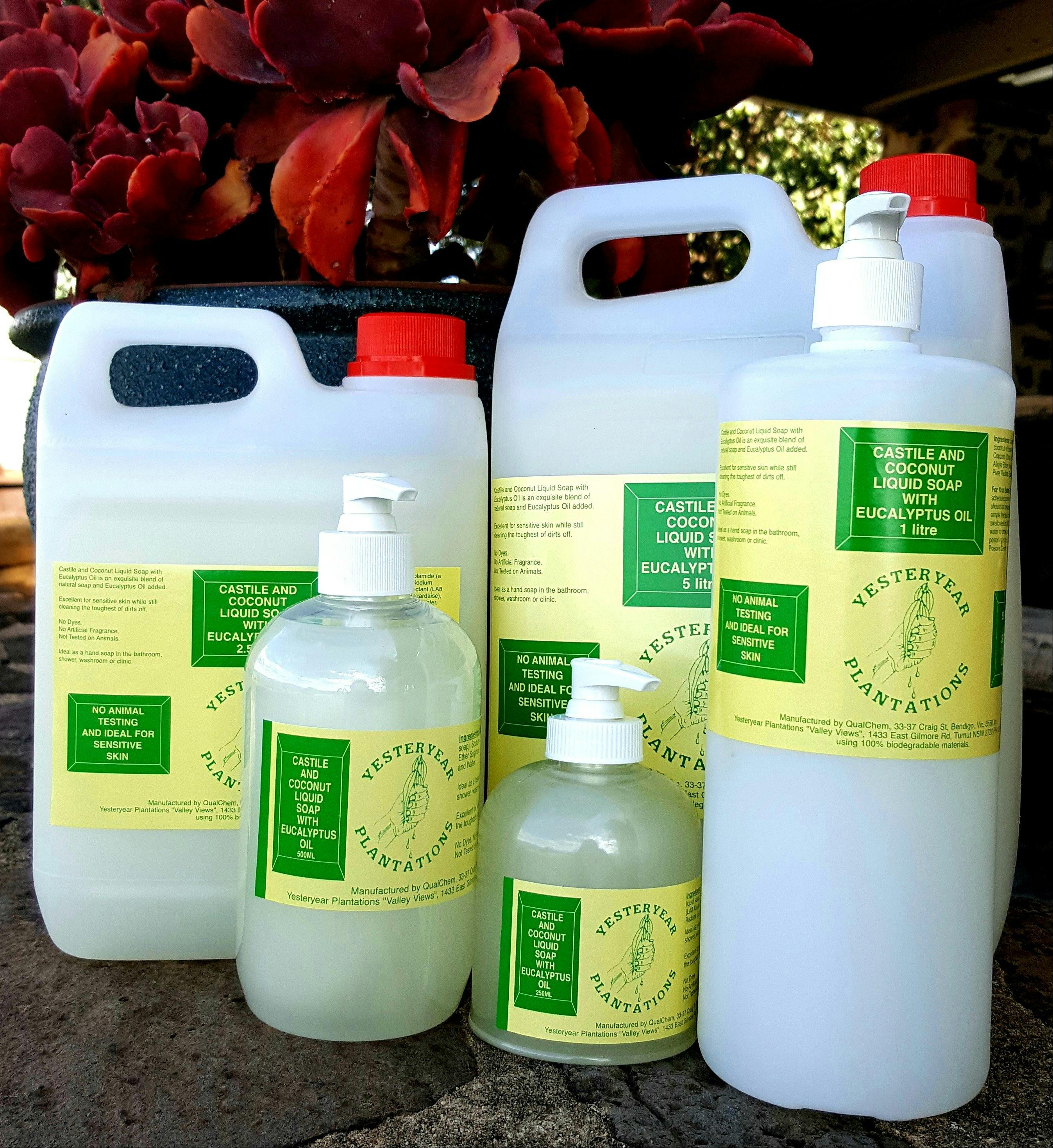 Various sizes of castile and coconut liquid soap with eucalyptus oil for hand and body washing.