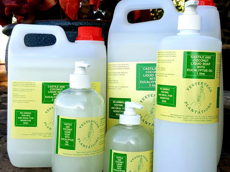 Various sizes of castile and coconut liquid soap with eucalyptus oil for hand and body washing.