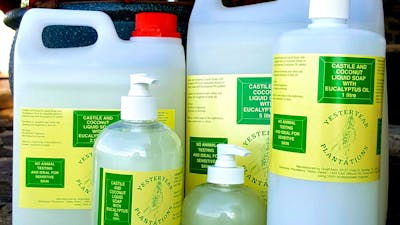 Various sizes of castile and coconut liquid soap with eucalyptus oil for hand and body washing.