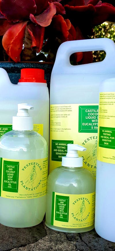 Various sizes of castile and coconut liquid soap with eucalyptus oil for hand and body washing.
