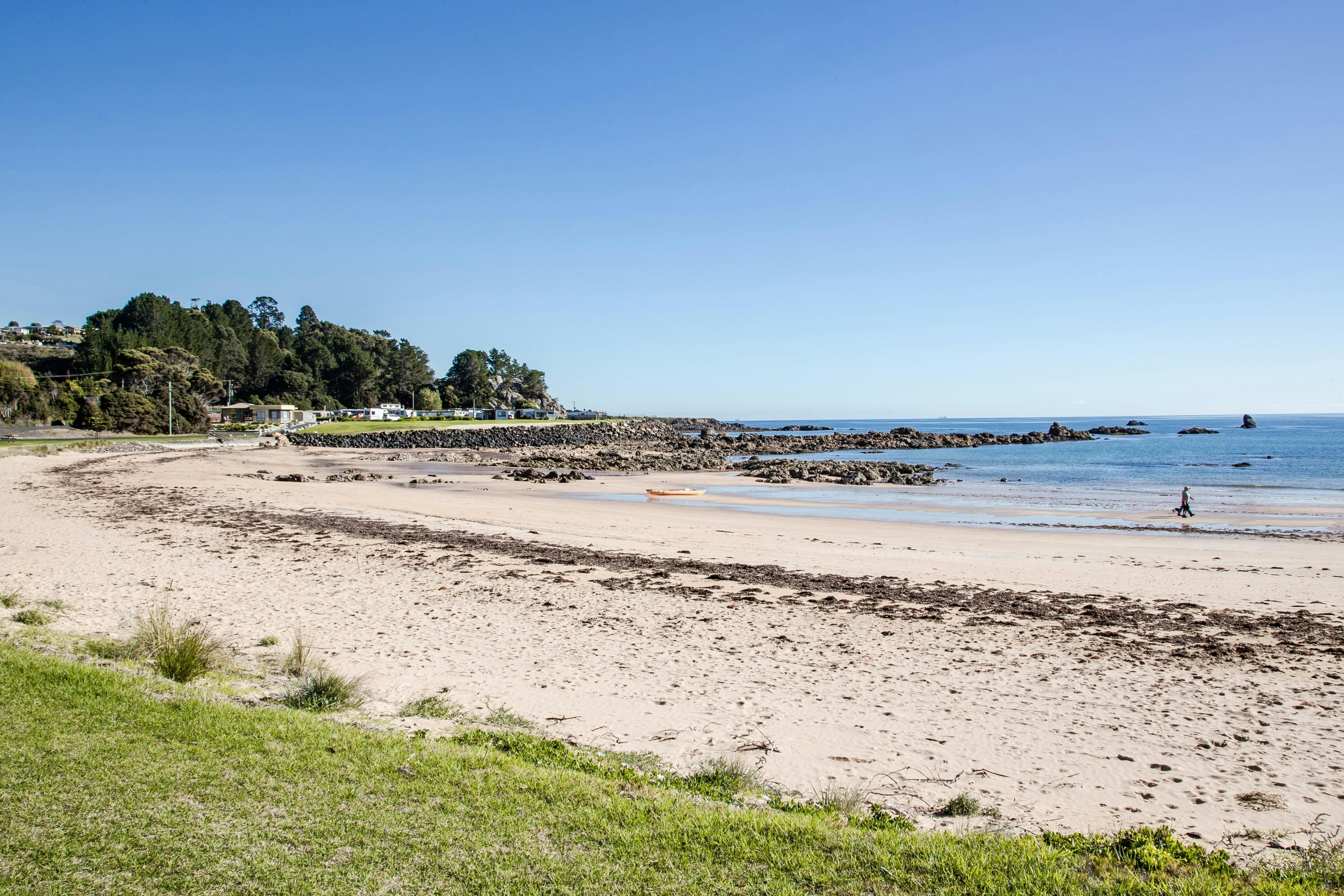 Johnsons Beach, Penguin