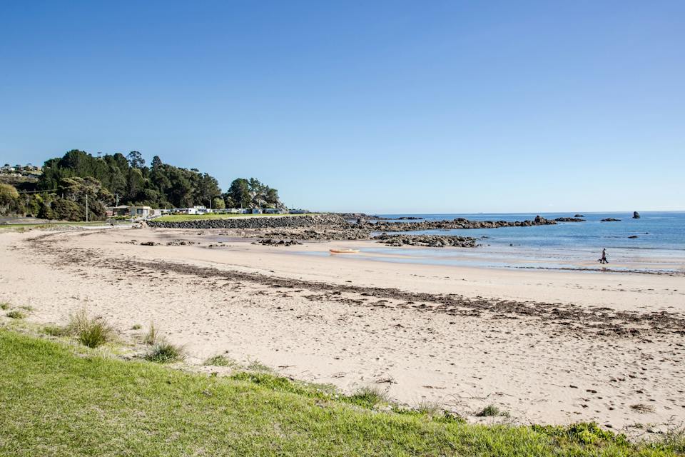 Johnsons Beach, Penguin photo