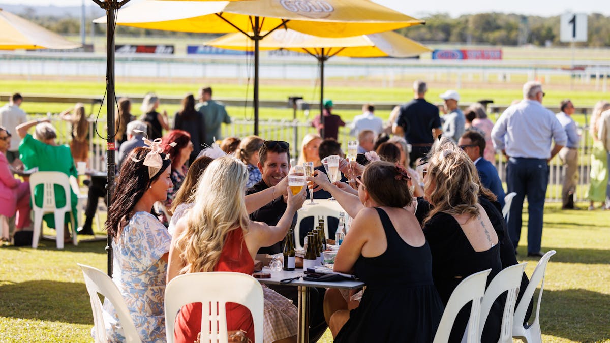 Group of friends on the Lawns Clinking Drinks