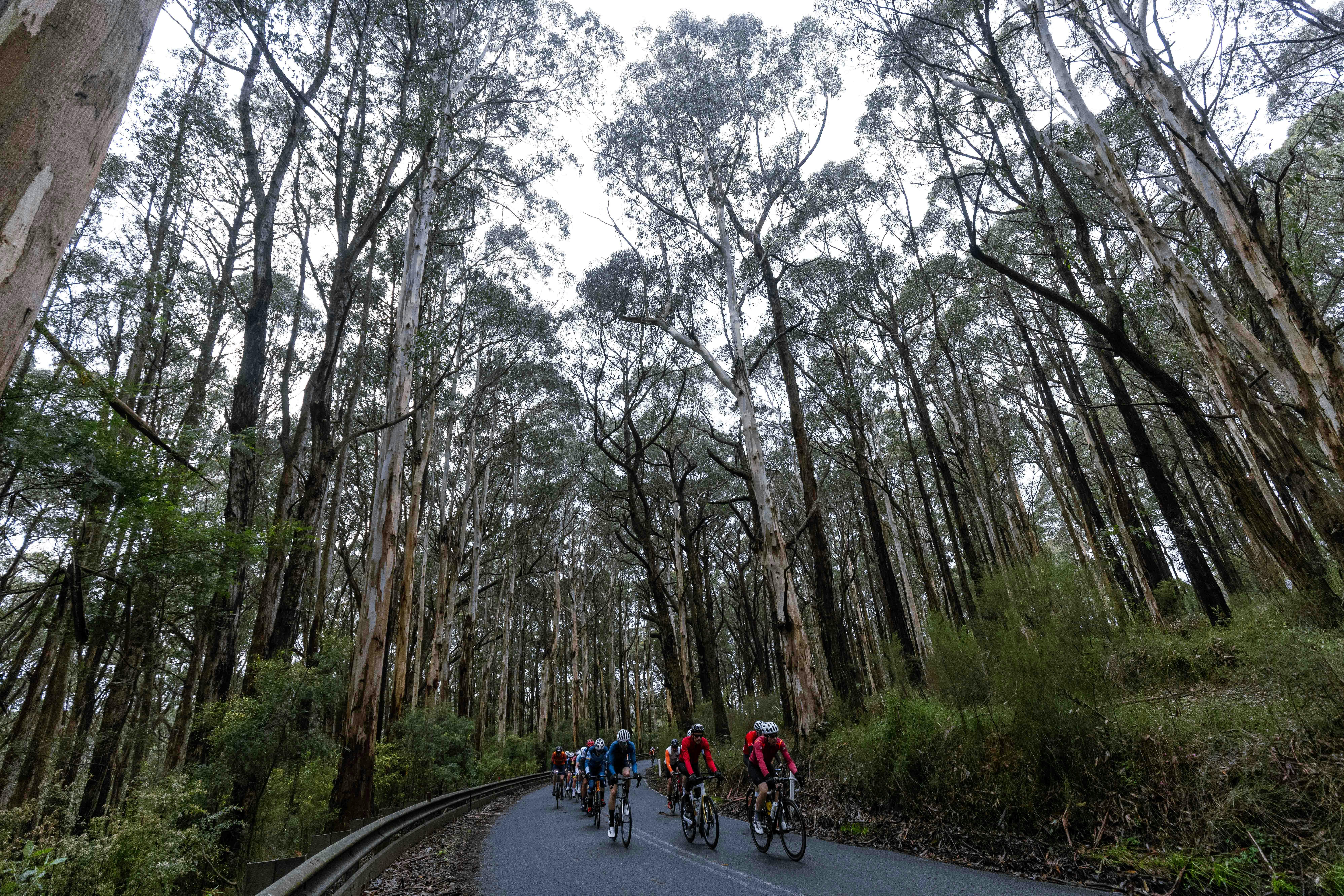 Citroën Amy's Great Ocean Road Gran Fondo