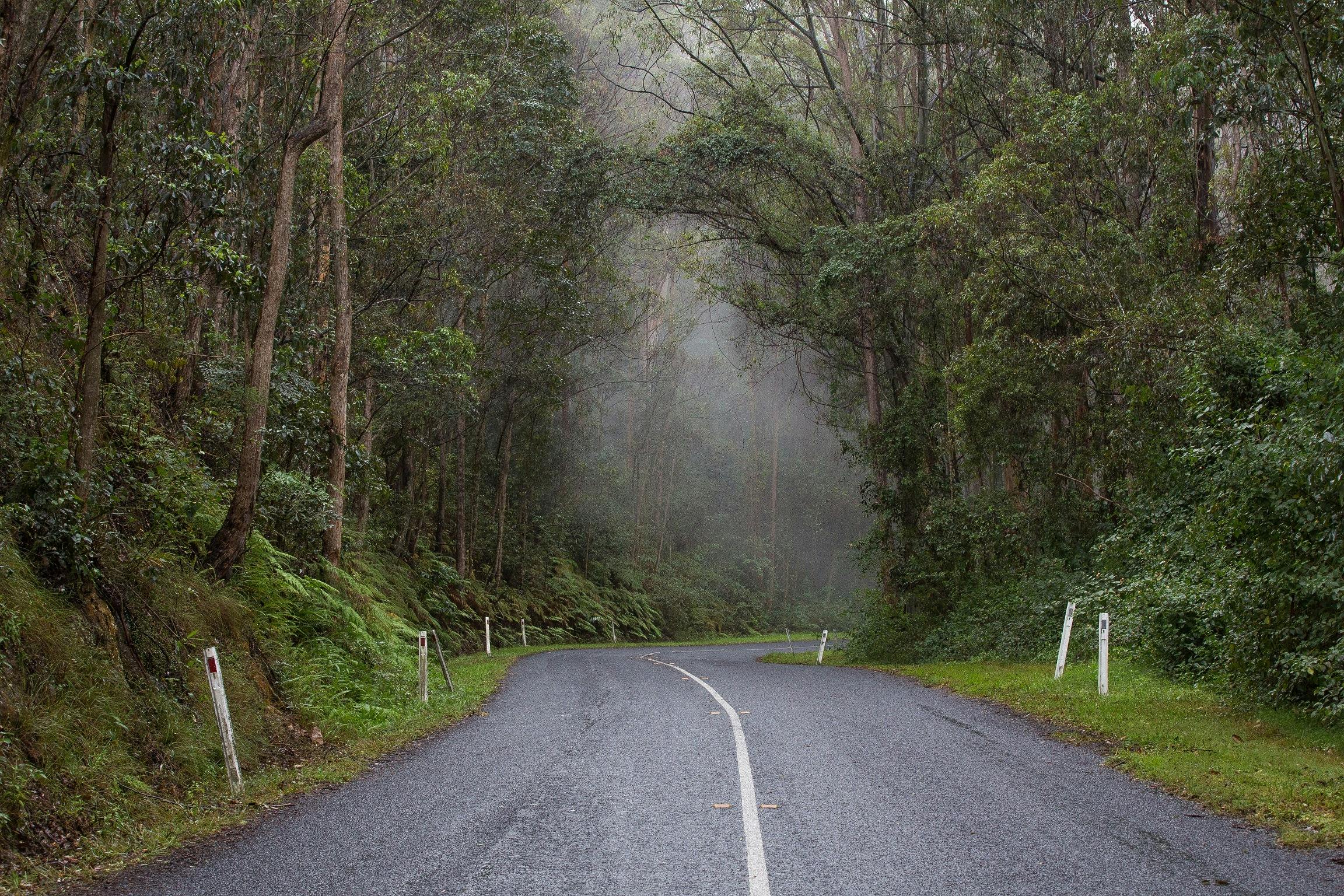 Maiala Day Use Area, Mount Glorious