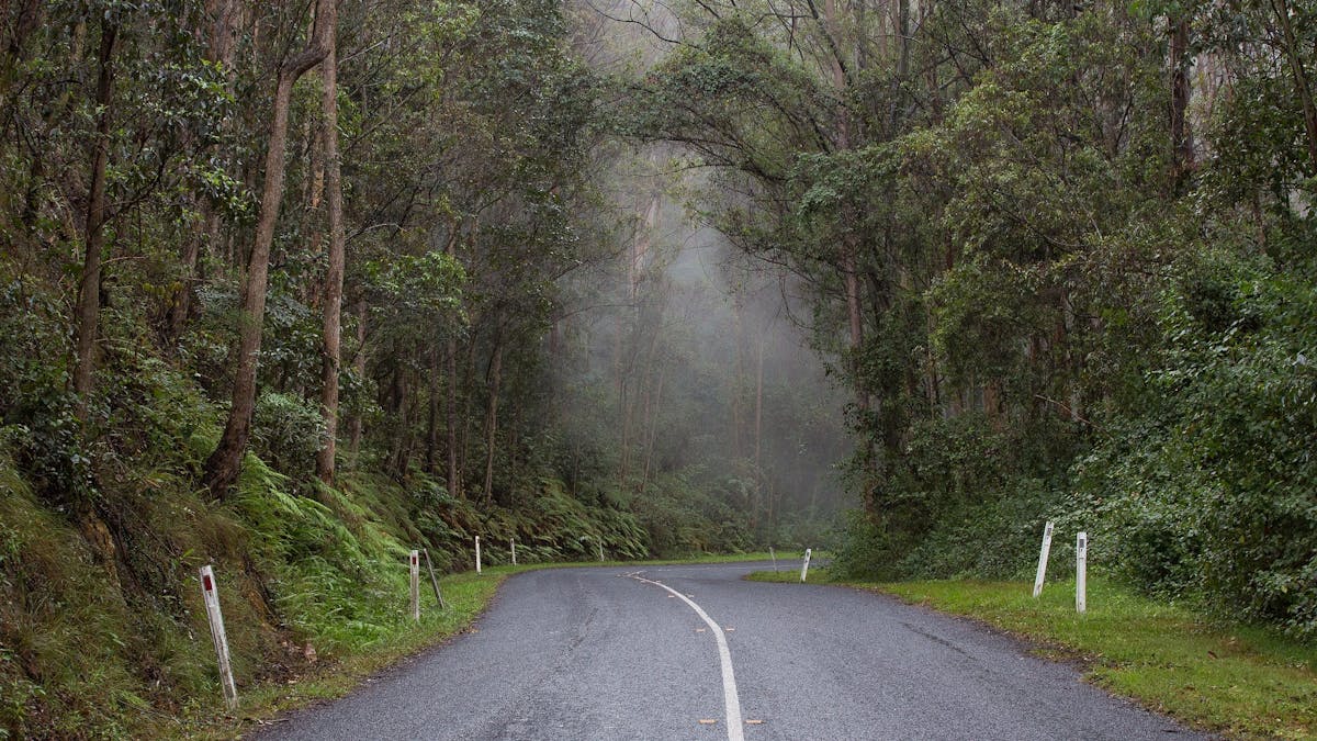 A foggy road on Mount Glorious on the way to Maiala in the D'Aguilar National Park