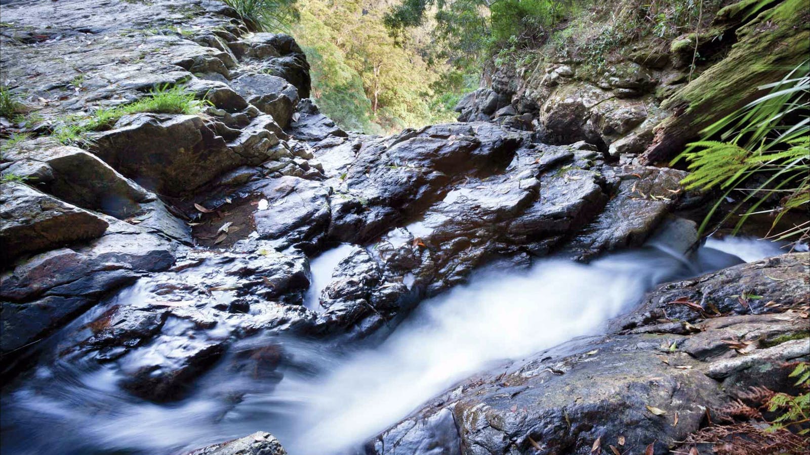 Casuarina Falls Circuit